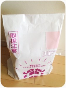進研ゼミ小学講座チャレンジから届いた努力賞の画像